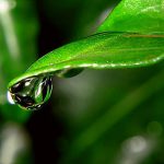 Natural Personal Care 2009: Global Market Analysis and Competitive Brand Assessment