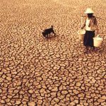 Kline's New Research on the Implications of Climate Change on Agribusiness