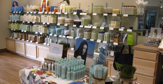 Professional Hair Care Market