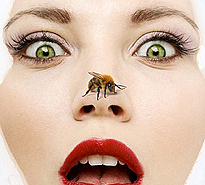 Bee is for Beauty: Buzz from Cosmoprof North America