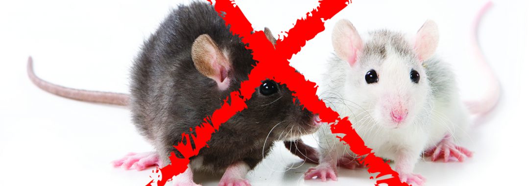 Regulations Impact Rodenticide Sales