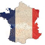 French Seed Treatment Market