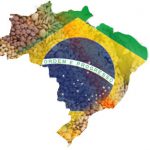 Brazilian Seed Treatment Market
