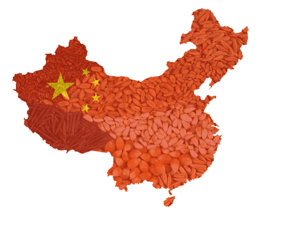 Chinese Seed Treatment Market Overview