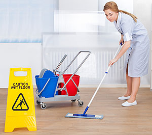 Janitorial cleaning products market in Europe