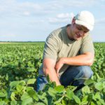 U.S. Pesticide Adjuvants Market
