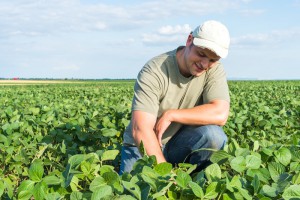 U.S. Pesticide Adjuvants Market