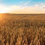 Crop Protection Manufacturers Report Preview