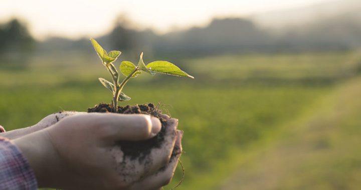 Biopesticides Bite Off the Conventional Pesticides Market Share, Growing by 24%