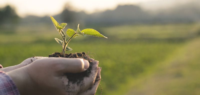 Biopesticides Bite Off the Conventional Pesticides Market Share, Growing by 24%