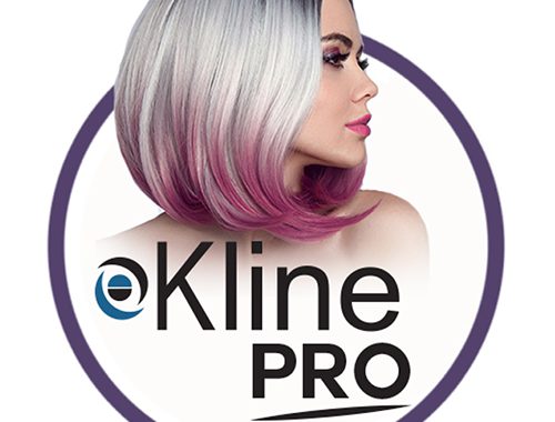 Kline PRO – A powerful tool for the salon industry based on transactional data