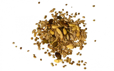 Seed Treatment: Global Market Analysis and Opportunities