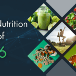 Food & Nutrition Trends 2026