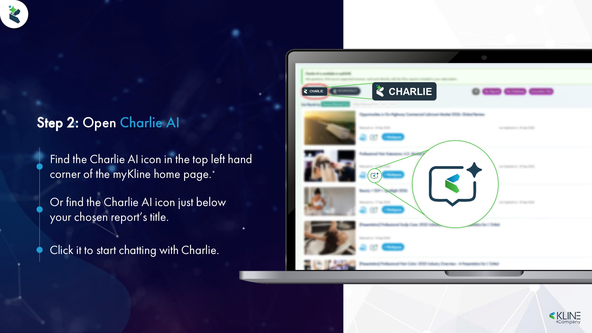 Kline Charlie user guide 5