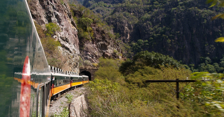 Clearing the Path How Mexico and Brazil are Managing Vegetation for a Greener Tomorrow