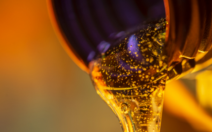 Global Synthetic Lubricants: Market Analysis and Opportunities