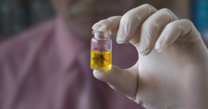 mosquito specimen in laboratory vial representing sterile insect technique and mosquito control research