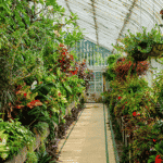 Horticultural Nurseries and Greenhouses are a Key End User of Pesticides and Fertilizer