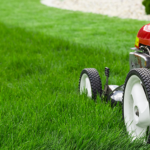 Lawn Care Pros Shift Spend on Pesticides & Fertilizers – Due in Part to Rising Labor Costs, Shortages
