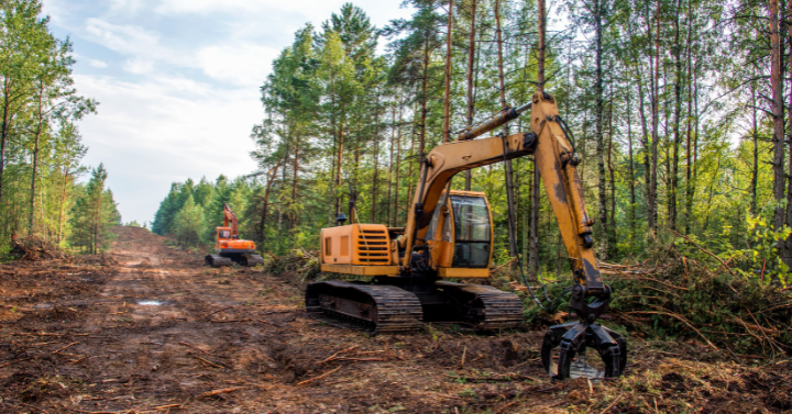 Pesticides Used in Forestry Vegetation Management Display Dramatic Growth