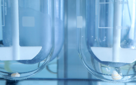 Solubility Enhancement in Pharmaceutical Oral Solid and Parenteral Dosage Forms