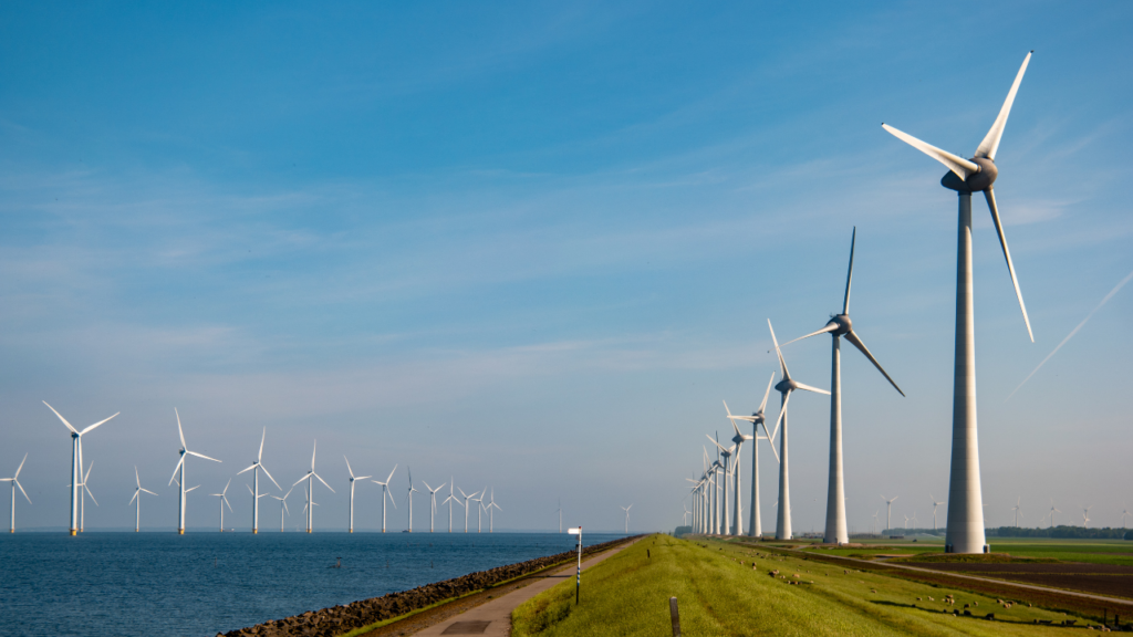 The Great Potential of the Wind Power Industry Website