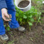 U.S.-Biostimulant-and-Biofertilizer-Market-Growth-Driven-by-Seaweed-Extracts-Mixtures-and-Consumer-Demand