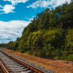 Vegetation Management of Railways Critical to Maintenance and Safety