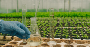 Scientist conducting agricultural research in crops for biological crop protection