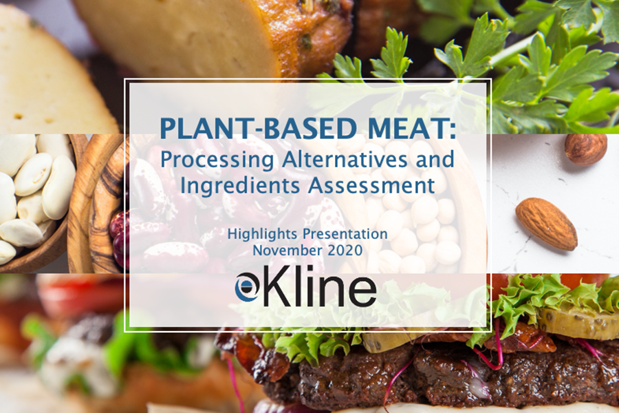 Plant-Based Meat: Processing Alternatives and Ingredients Assessment